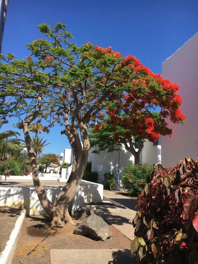 Los Barqueros Corralejo "Beach Front - Town Centre" Bagian luar foto